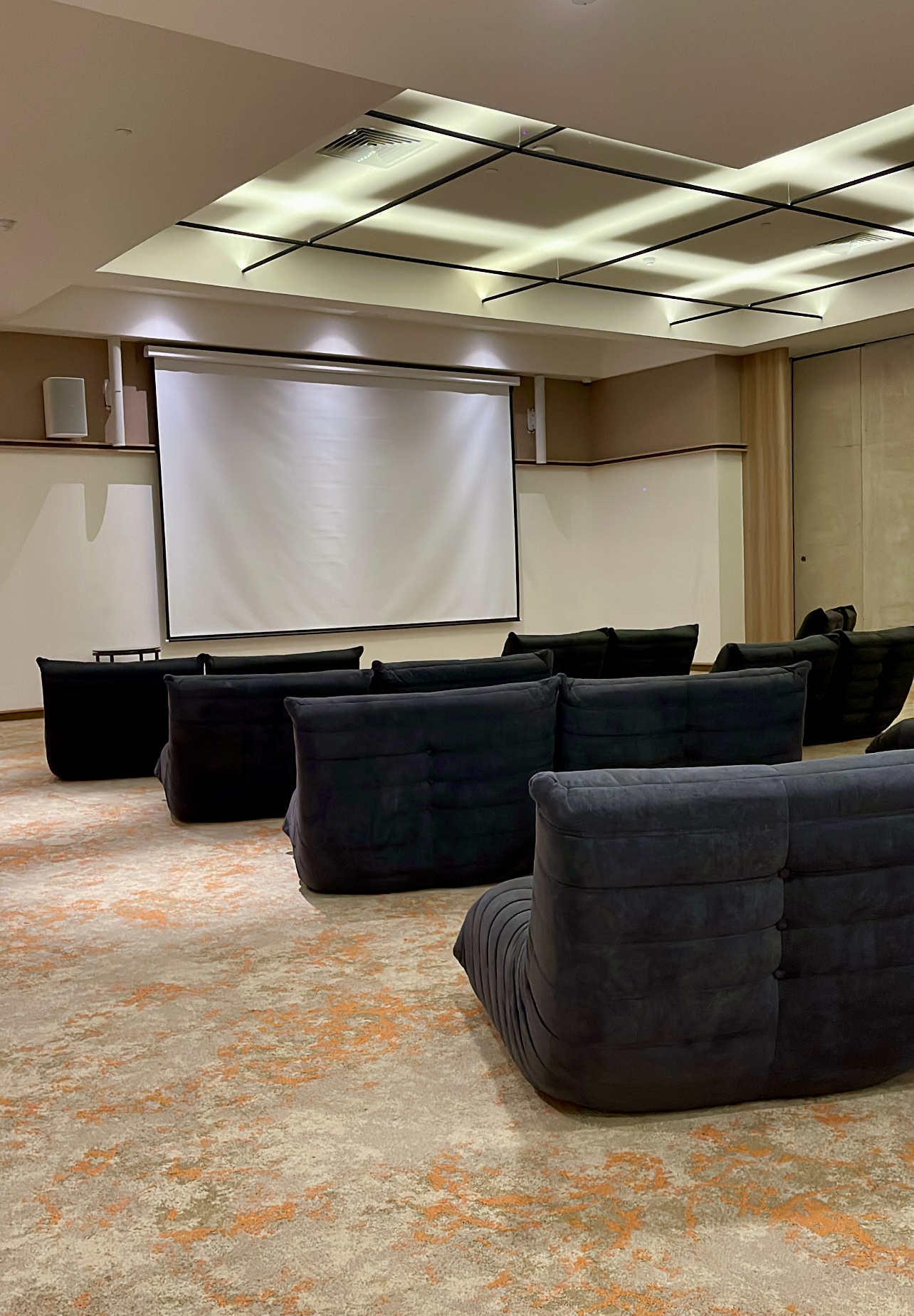Theatre Room