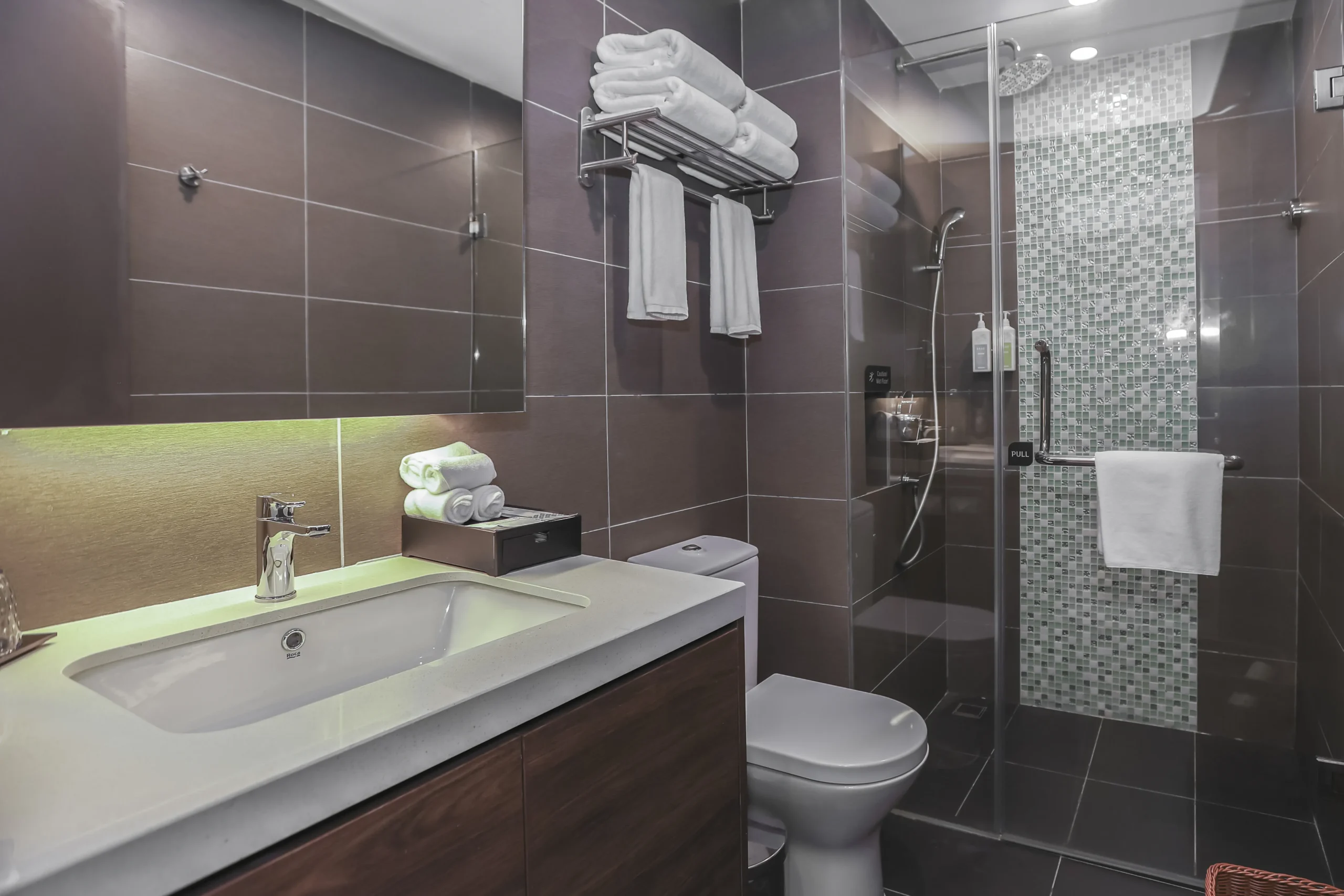 Family Room Bathroom