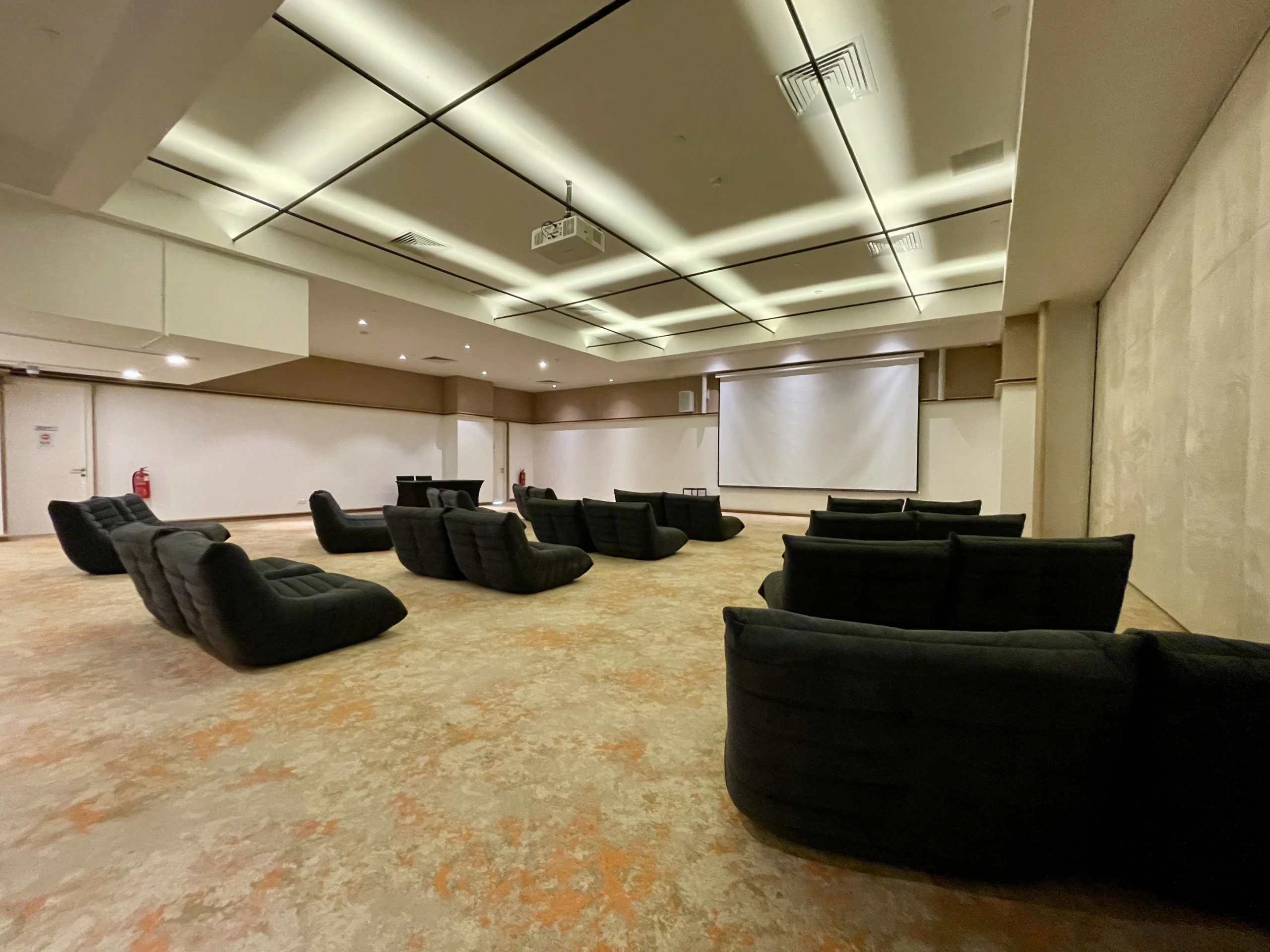 Theatre Room 4