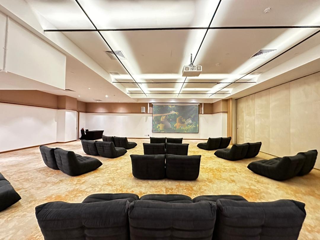 Theatre Room